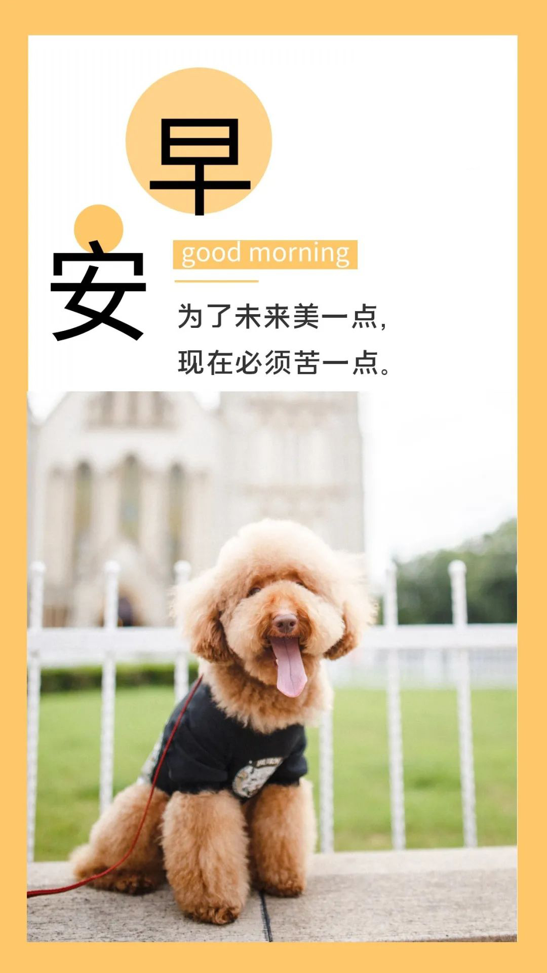 正能量周末早安图片加字：为了未来美一点，现在必须苦一点