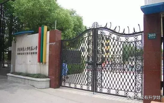 市中心的升学“黑洞”,家长如何来择校？普陀区幼小资源盘点！