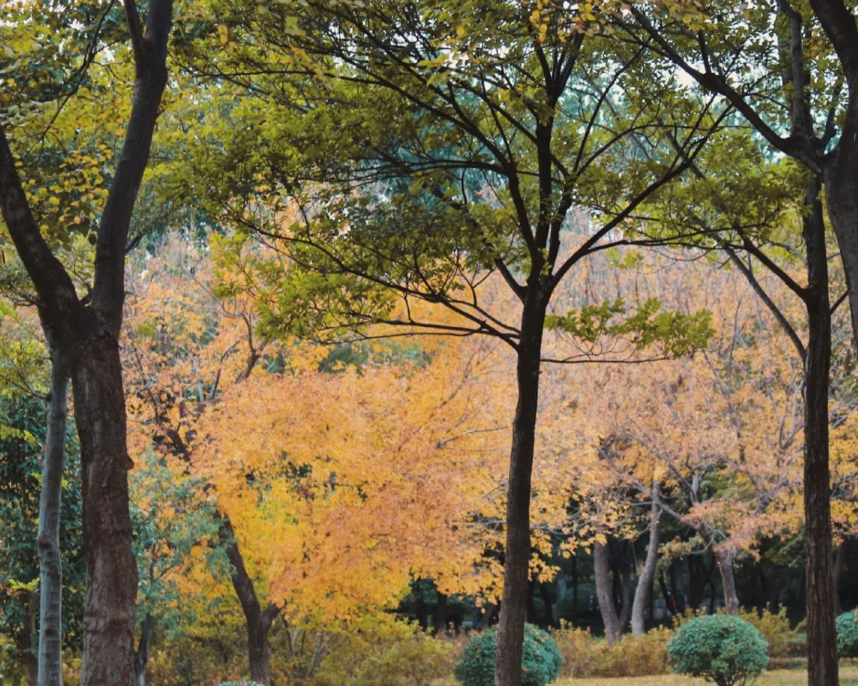 山东最不能错过的自驾线路！山水美景遍布，承包你的小长假！