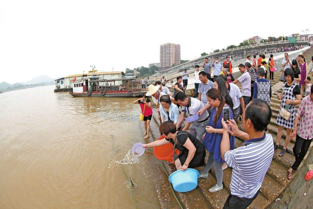 小乘、大乘在放生方面有区别吗？