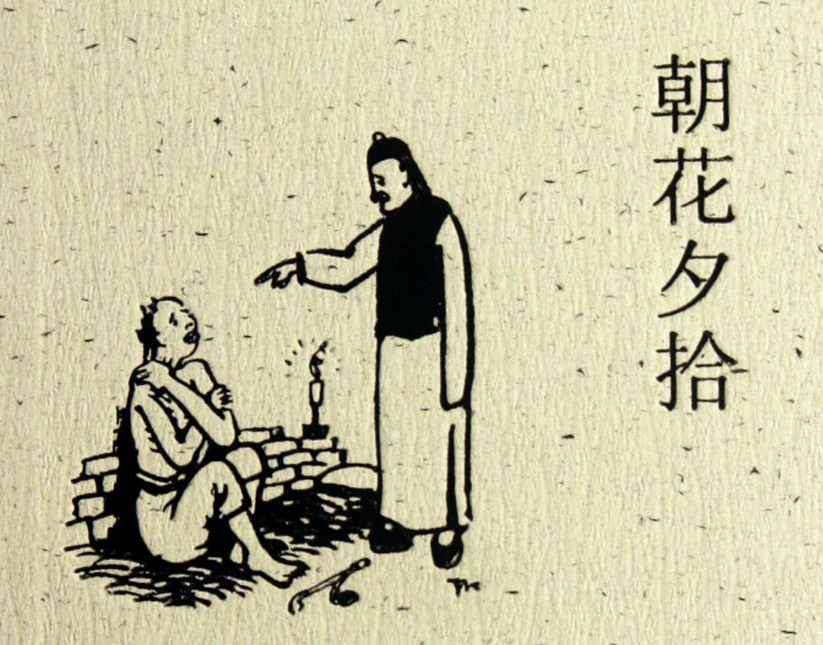 朝花夕拾中的动物画卷：温情与回忆的交织