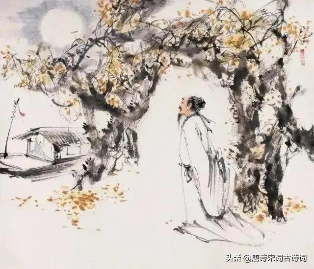 江州司马青衫湿，一路南行一路诗