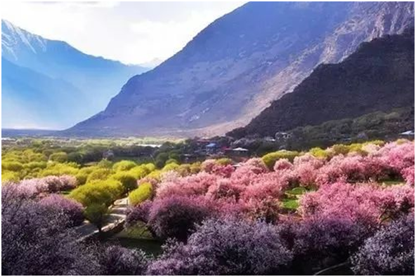 說說你去林芝旅遊是什麼體驗?