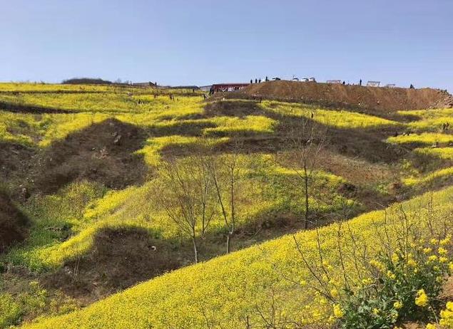 河南5个超火赏花目的地：景美免费，适合清明节全家出游