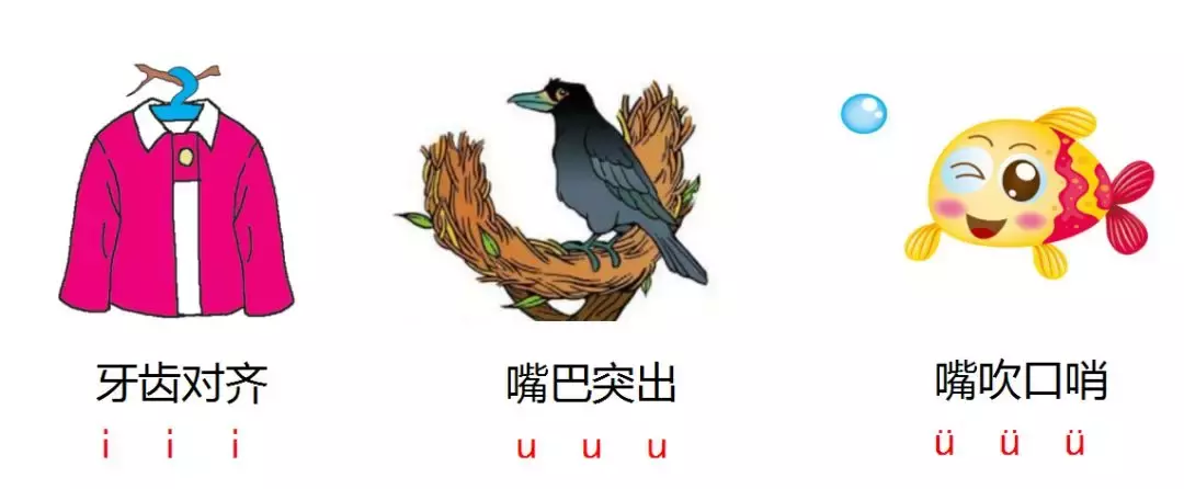 学拼音得趁早，从小基础要打好——拼音字母表（基础篇）！