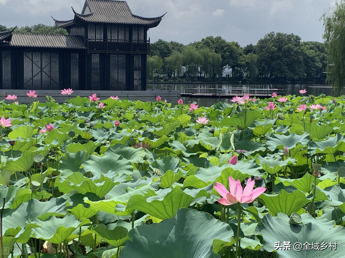 天下美景，人们首先想到的一定是西湖，你知道西湖十景有哪些吗