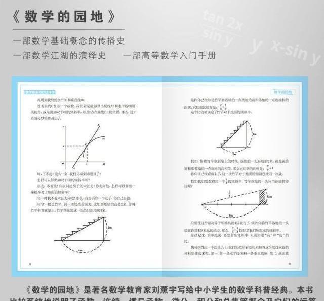 山东大学最牛的女数学家，10年只做一件事，如今获奖700万