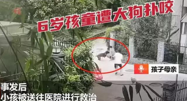 路上遇到恶狗咬人怎么办？打狗头可以自救吗？它的弱点在哪里？