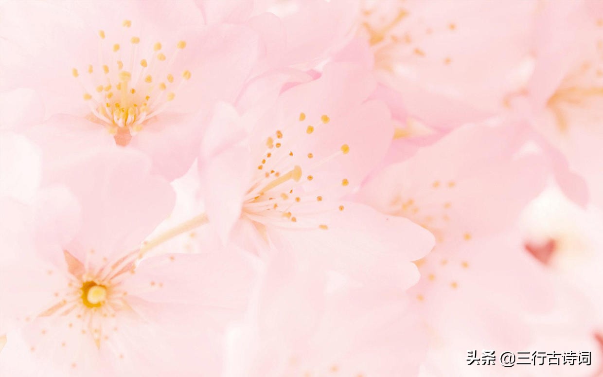 满山奇花艳山红，春风吹送百花香