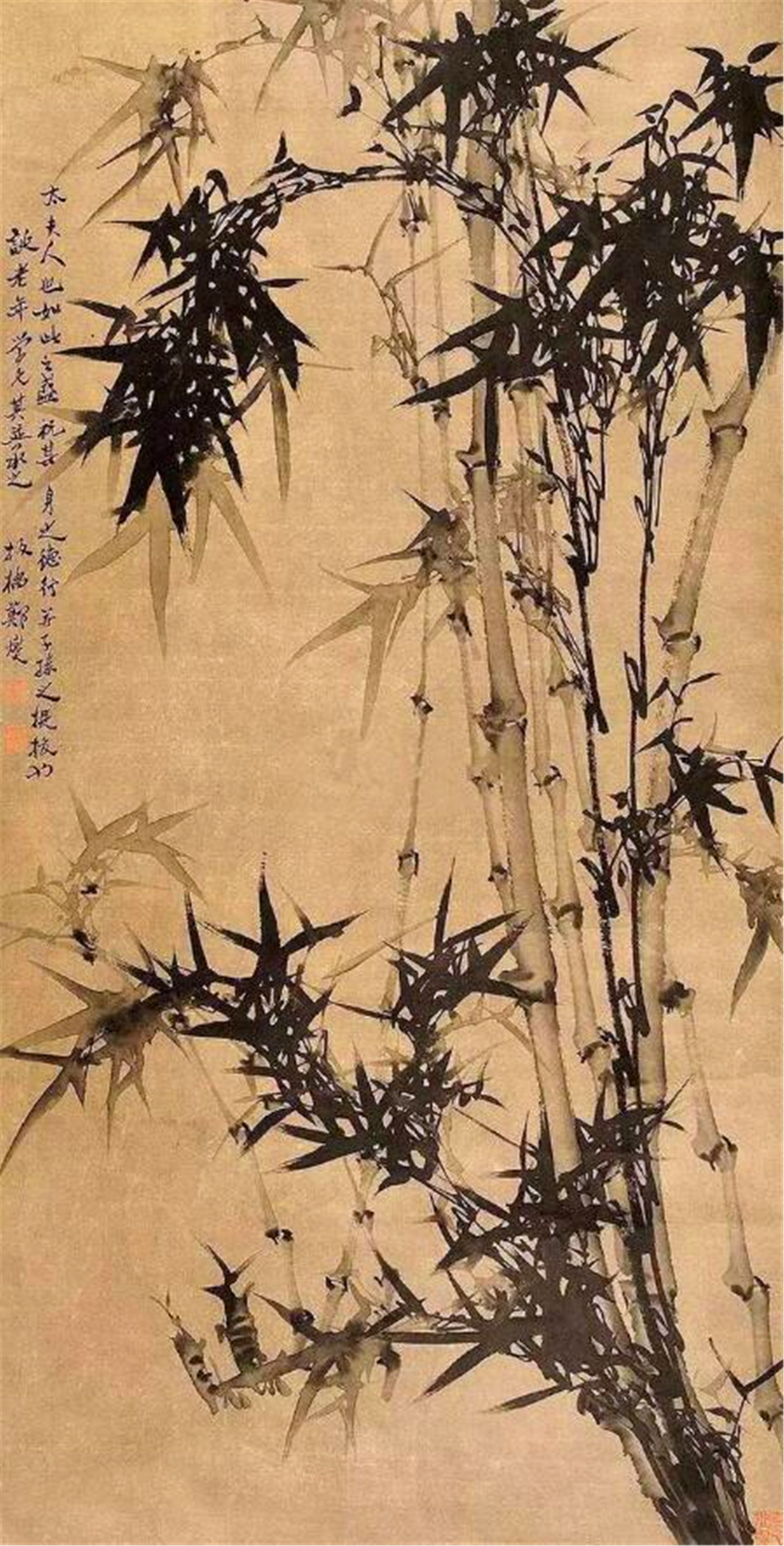 苍竹咬定青山(“扬州八怪”之一的郑板桥，一生爱竹画竹，终于也活成了一棵苍竹)