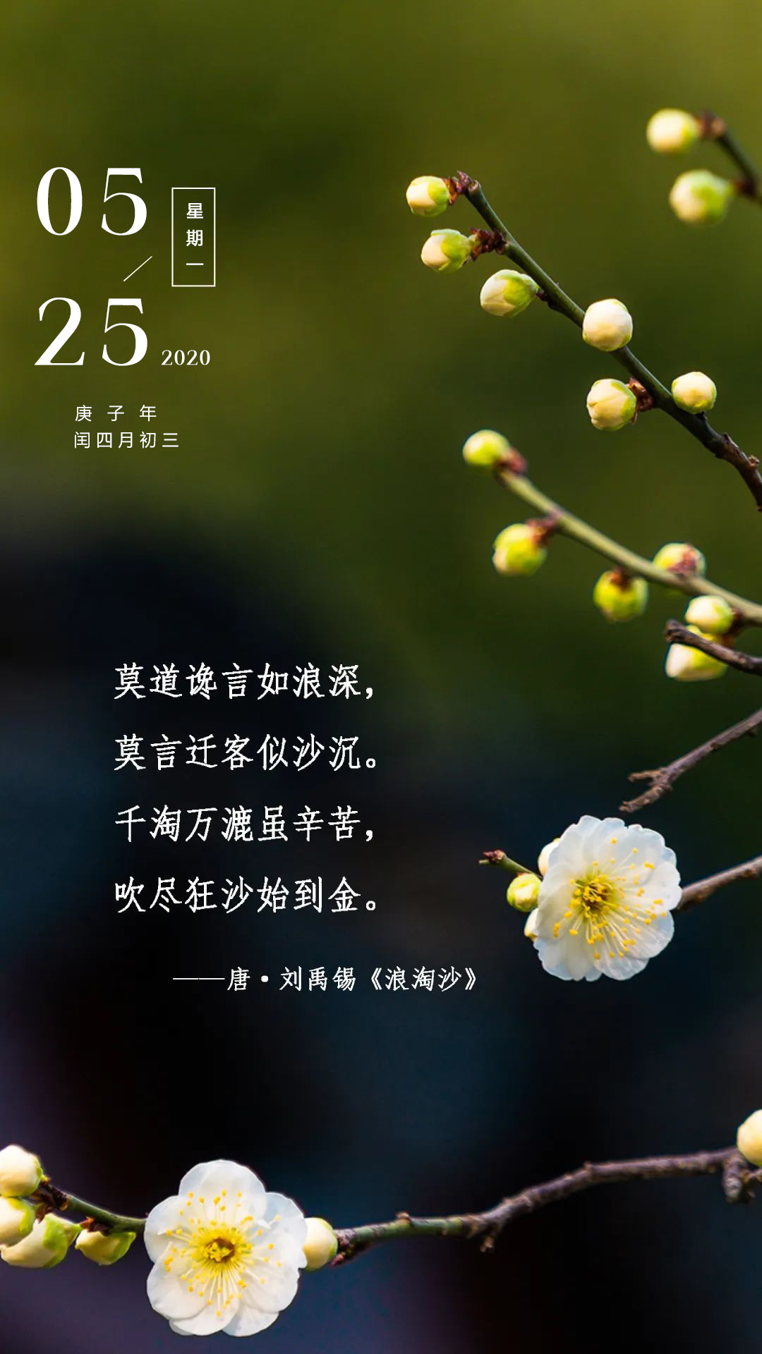 新的一周励志正能量早安心语图片日签：愿我们都能认真努力，一往无前