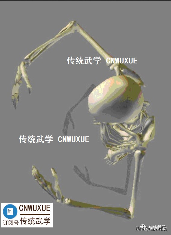 站桩—以武入道