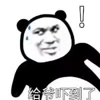 币圈疯了：炒完狗币炒屎币，下一步是炒LowB？