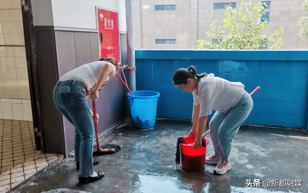 开学了，新都区47所学校风采展示