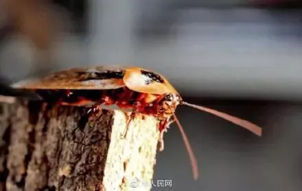 这些不知道，这周没得聊