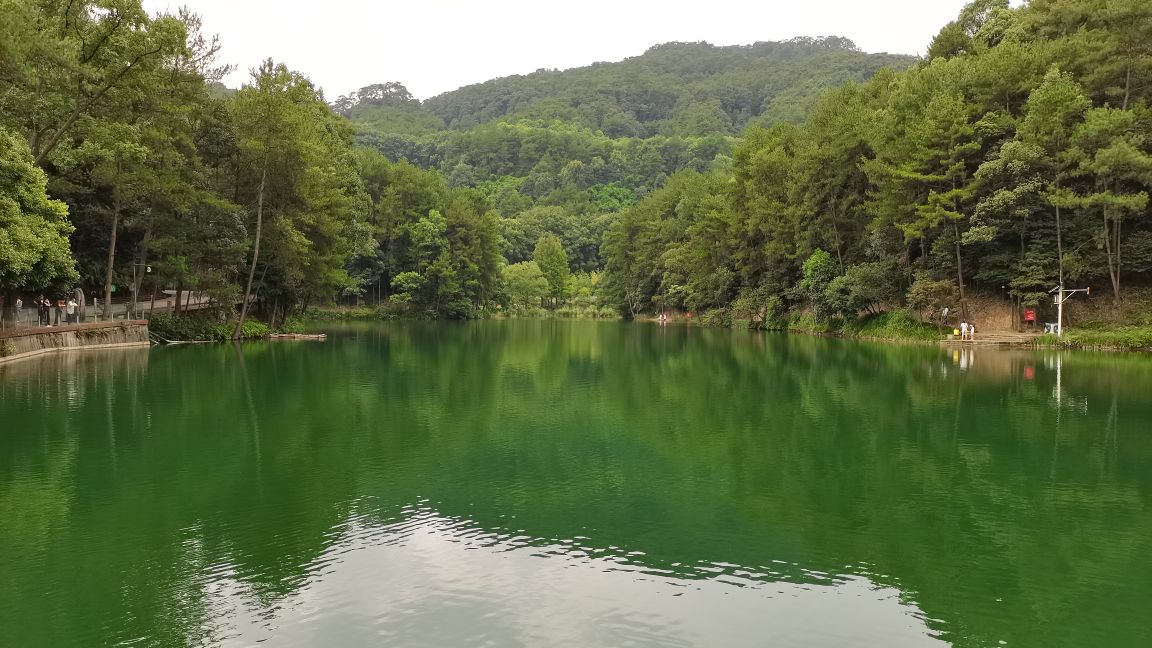 重庆缙云山(缙云山最强攻略——教你如何在一日内从山顶玩到山脚)