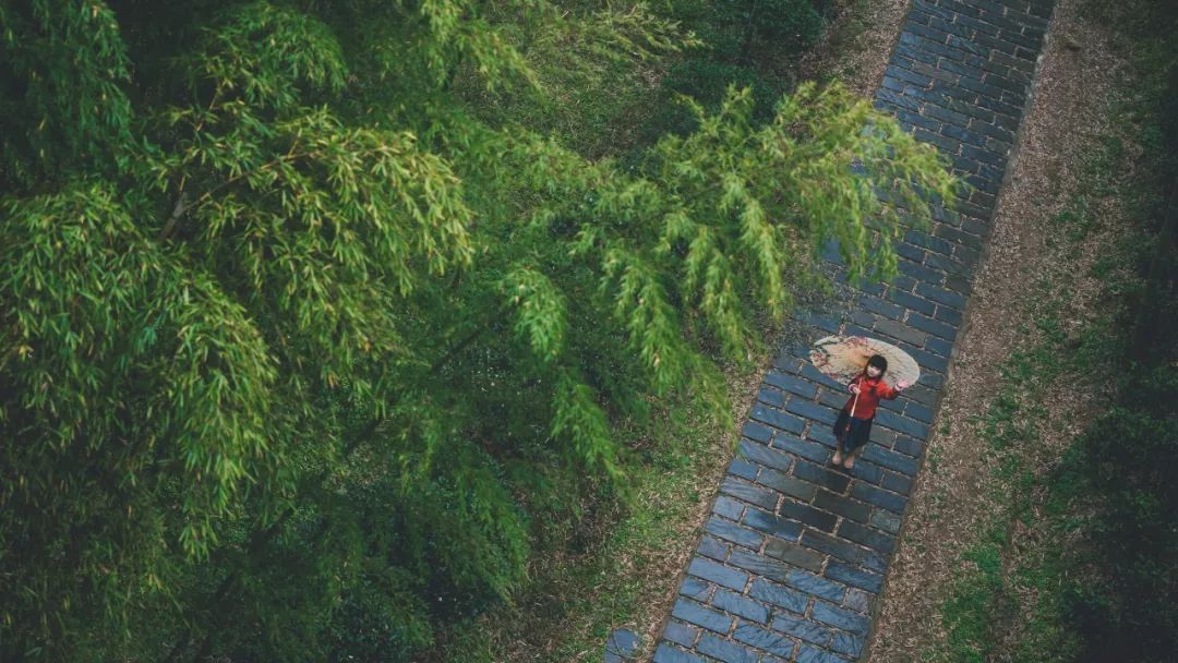 何处合成愁，离人心上秋，400句秋的诗词名句，体会汉语之美