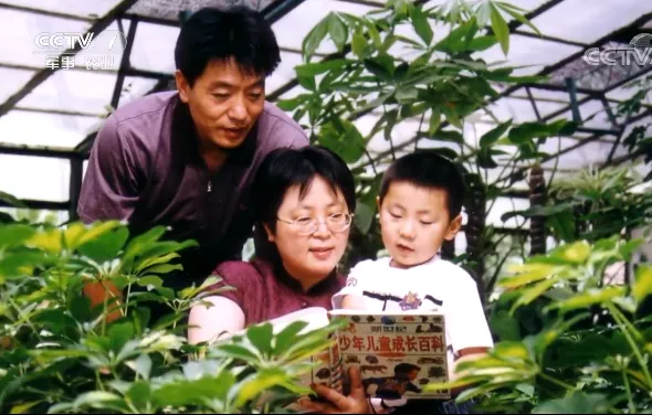 清华校花，与“毒”共舞29年：这个中国女学霸的人生，就是牛