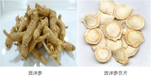 一文读懂:西洋参的全身真面貌!