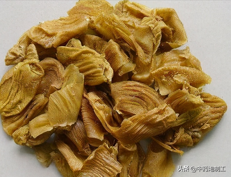 烫骨碎补是什么东西（中草药的烫法教程分享）