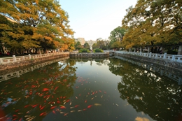 2019云南最好大学排名，云南大学排第一，排名第二是谁？