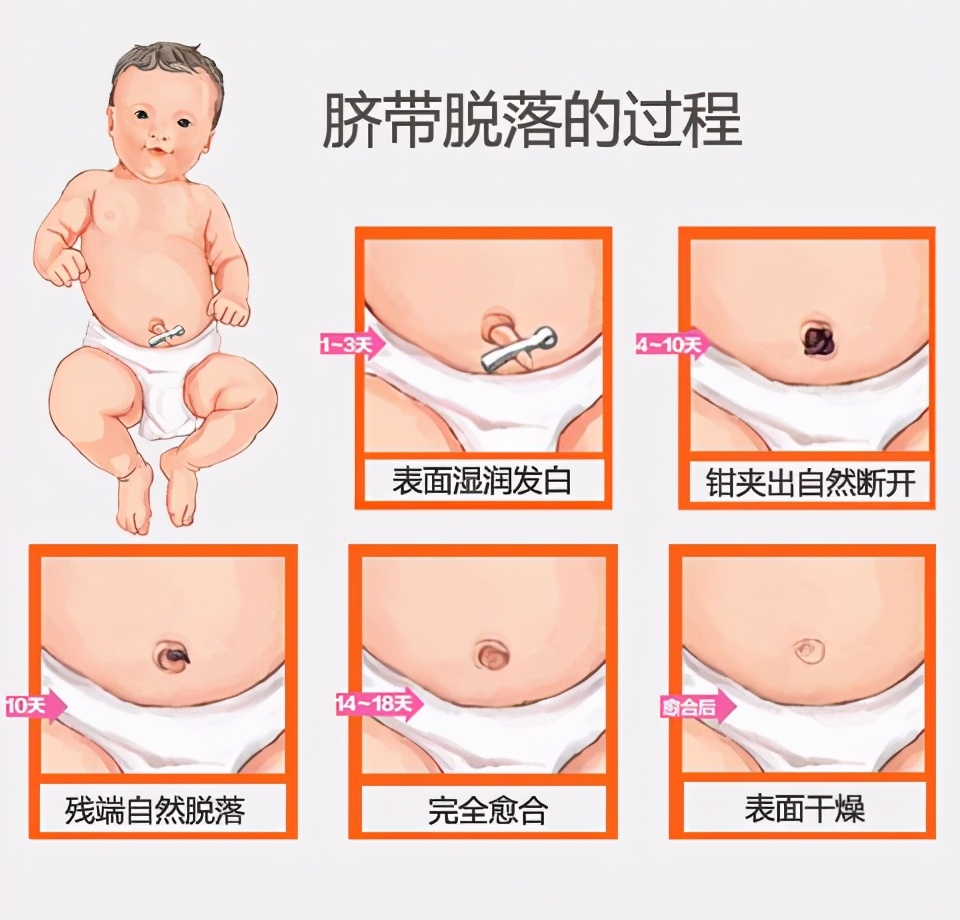 1-3个月宝宝行为参考：每周详细发育特点，新手爸妈带娃必备攻略