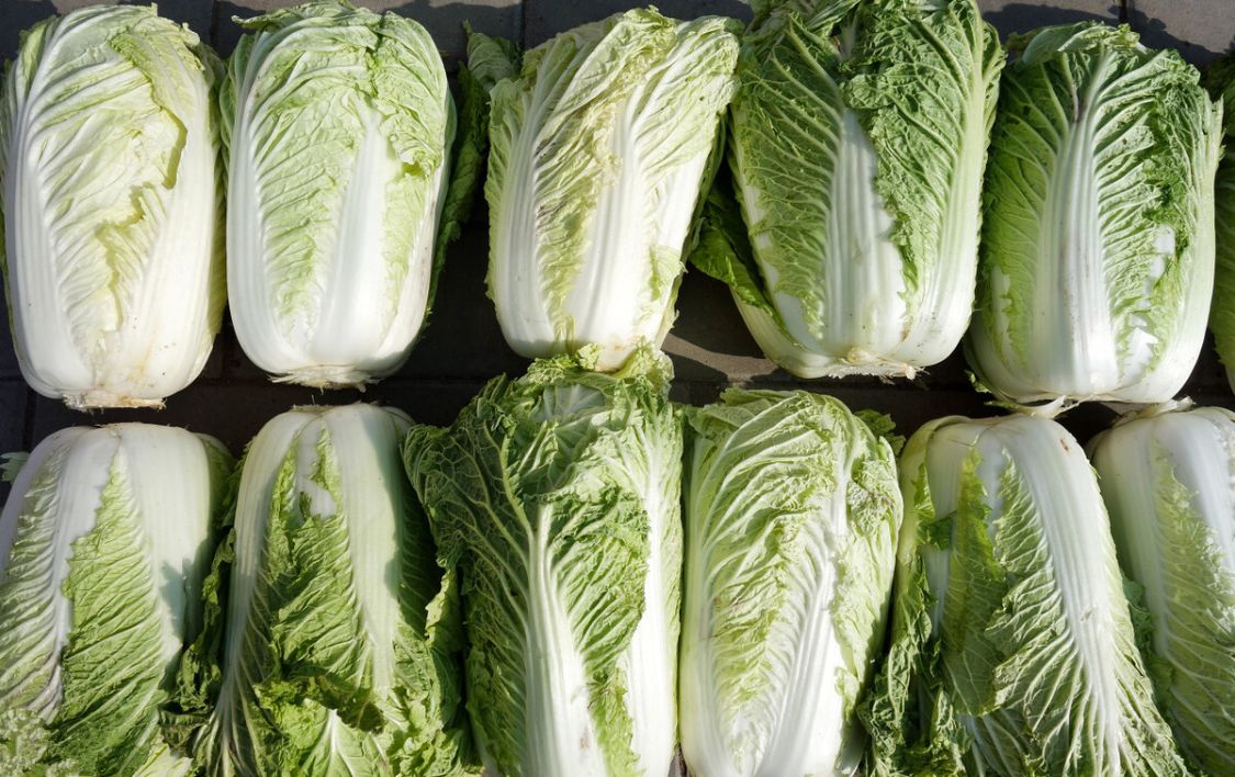 初冬季节，该优先囤购的“3菜1肉3干货”，现在买物美价廉，实惠
