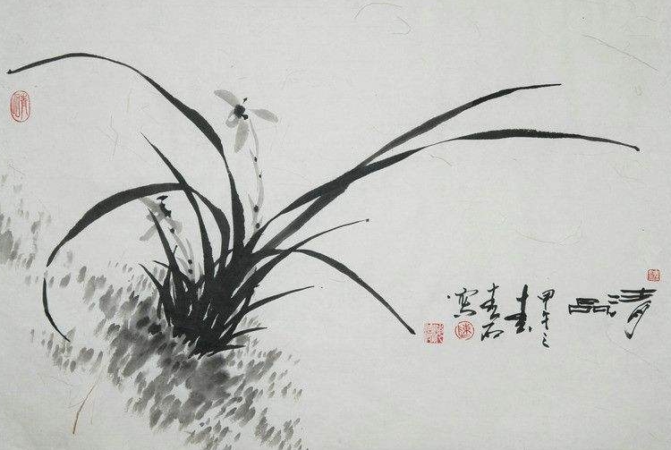 兰花的诗句赞美兰花的诗句（形容兰花淡雅的诗句）-第13张图片-大连信息网