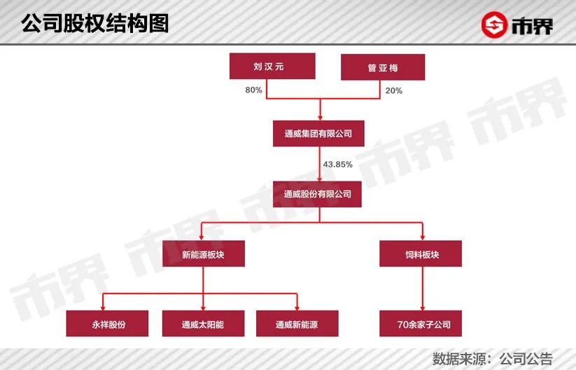 通威股份，四川“卖鱼翁”反转人生