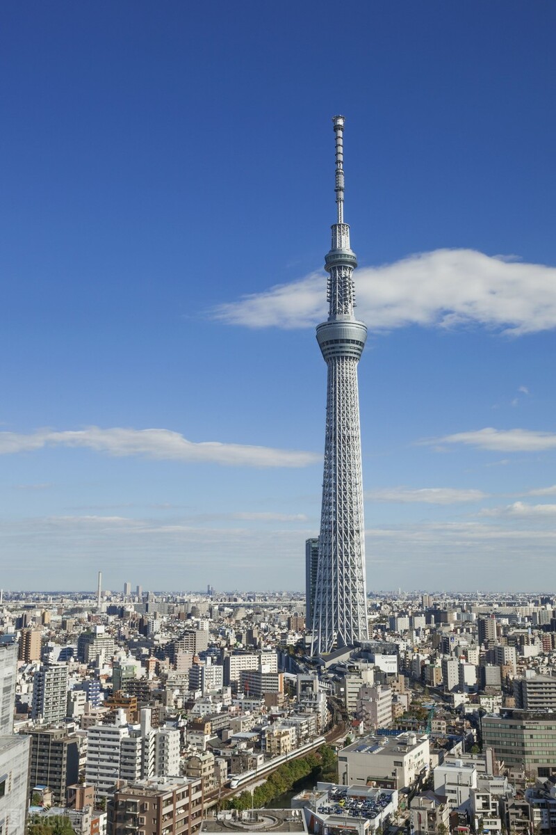 关于东京塔相关的美文 _晶羽文学网