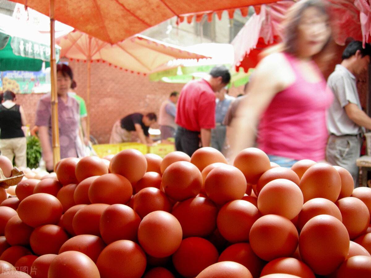 鸡价、鱼价跌不止，牛羊企稳，蛋价最后一搏？网友为啥还说吃不起