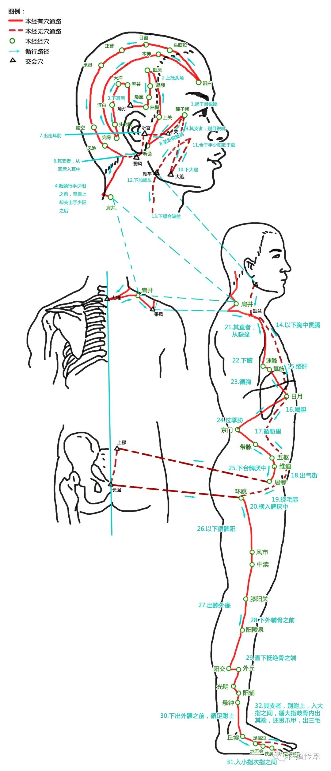 十二经脉太难记？这篇十二经脉解读汇总全告诉你！附歌诀、高清图
