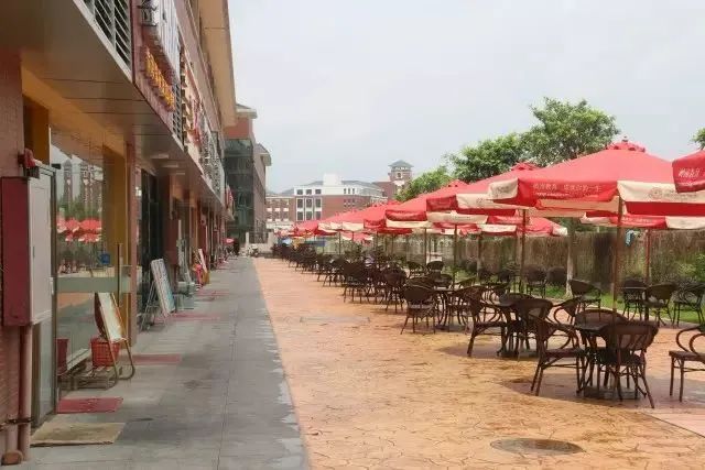 高职高考必看｜全面了解广东岭南职业技术学院