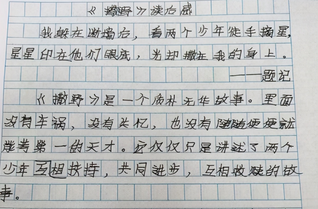 小学生写《撒野》读后感惹争议，老师看后尴尬回应：这分我没发给