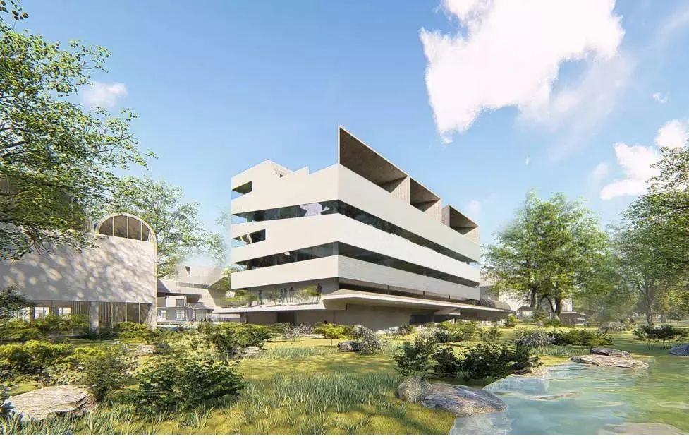 安徽省美术统考今日开锣，八大美院报考难度分析，美术艺考生必看