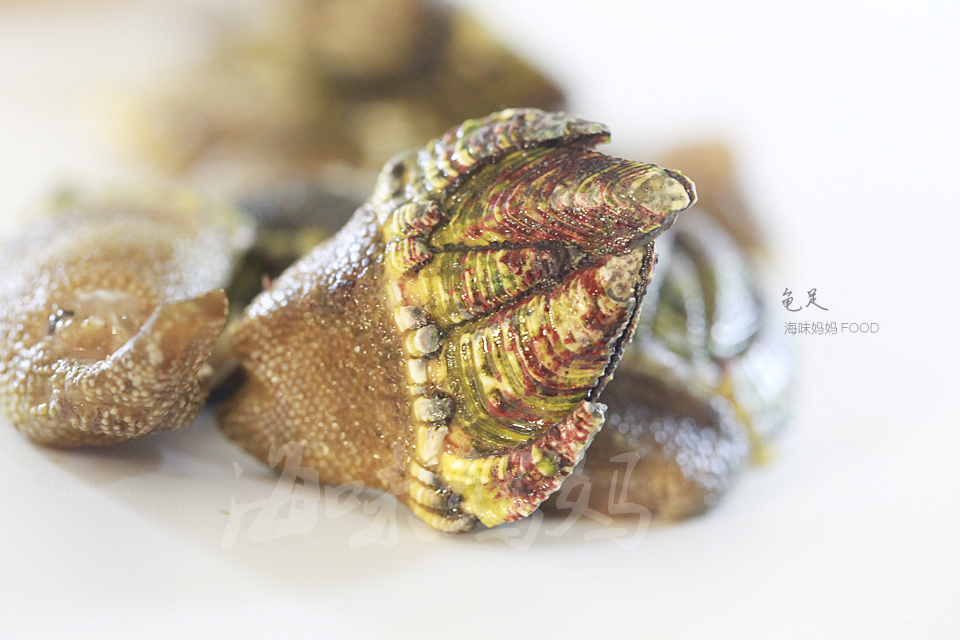 龟足是海鲜吗?吃过的都赞口不绝!