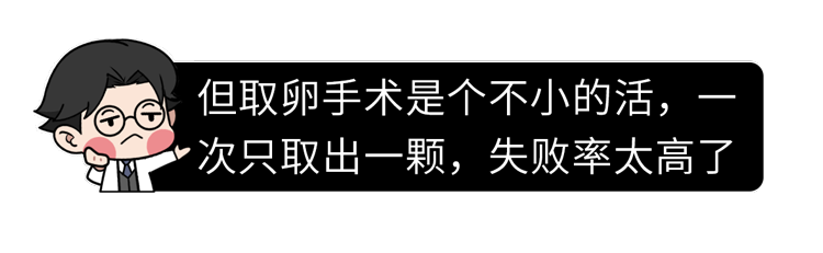 做试管婴儿有多“遭罪”？一篇漫画解释整个过程，看完泪目了