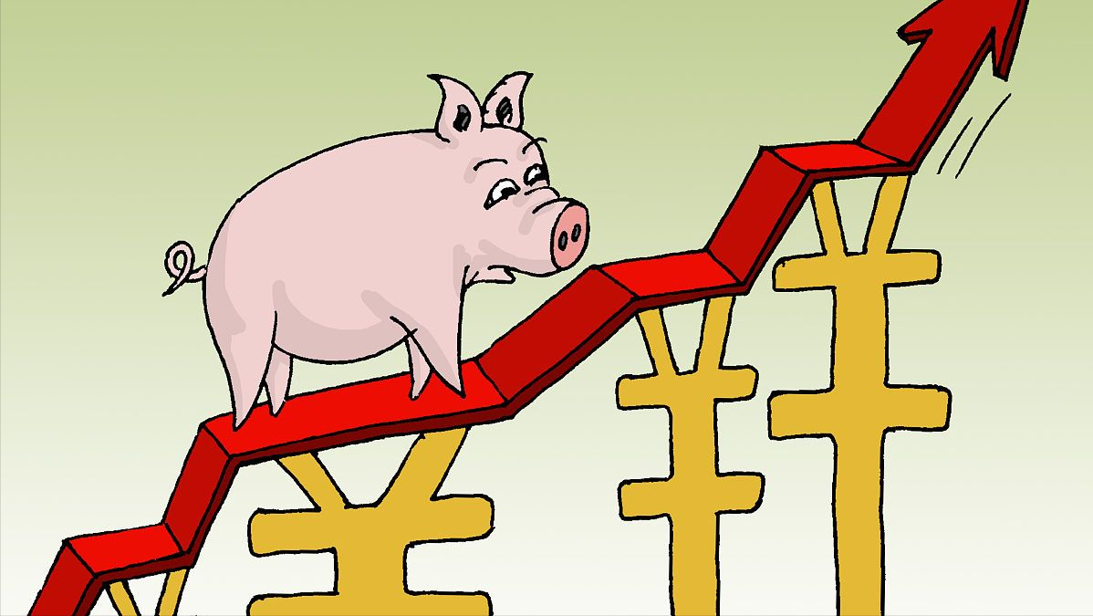 广西今日猪价24日，广西今日猪价2021.11.19