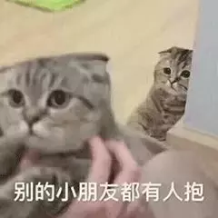 还在怀疑猫辱骂你？喵语六级课堂开课啦！