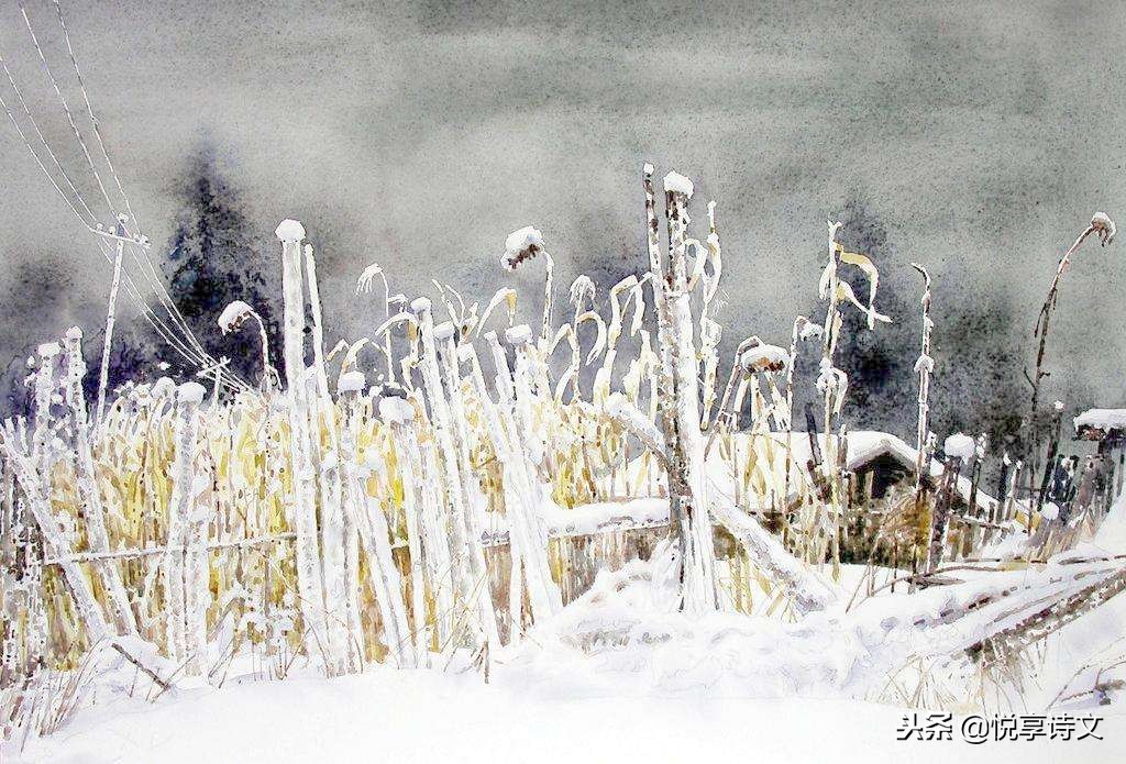 六出飞花入户时，坐看青竹变琼枝 读古诗词里的月明梅香照山雪