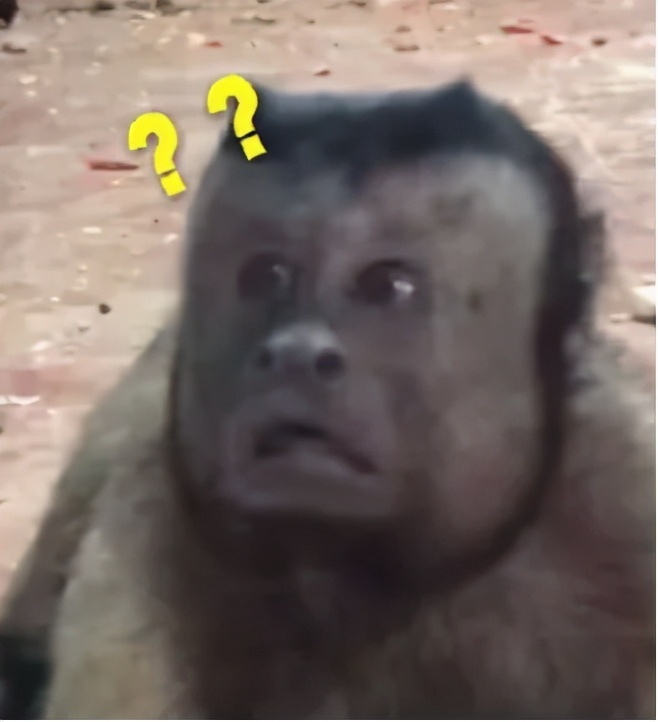 两只老虎咬死饲养员，被警方击毙【三分钟法治新闻全知道】