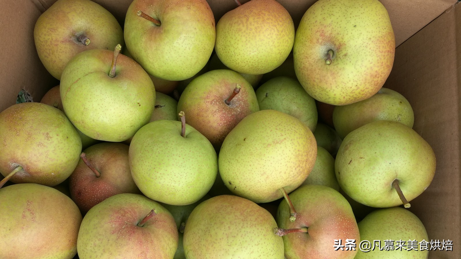 苹果梨图片（盘点全国最好吃的50种梨快收藏）