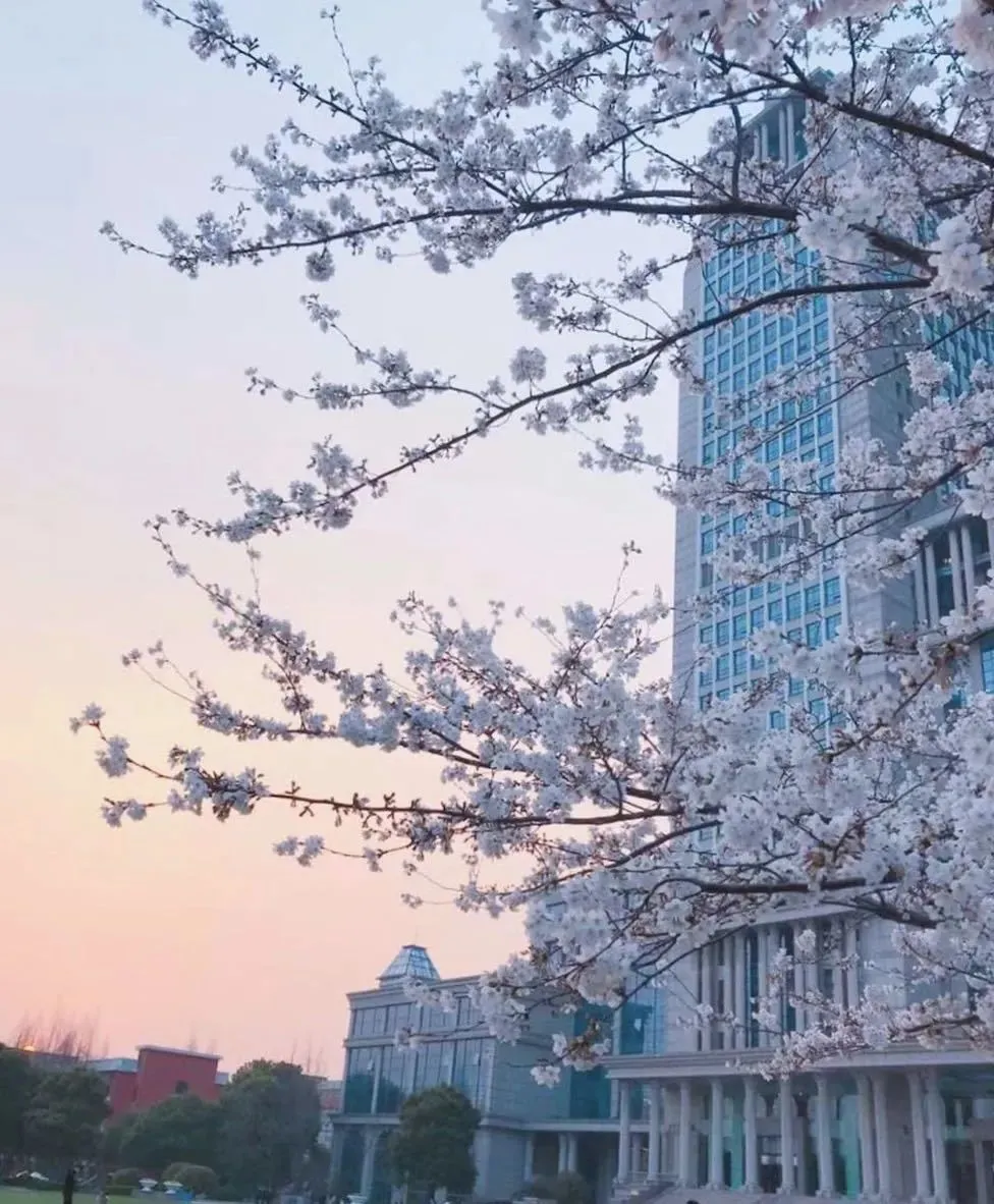 欢迎报考复旦大学研究生！