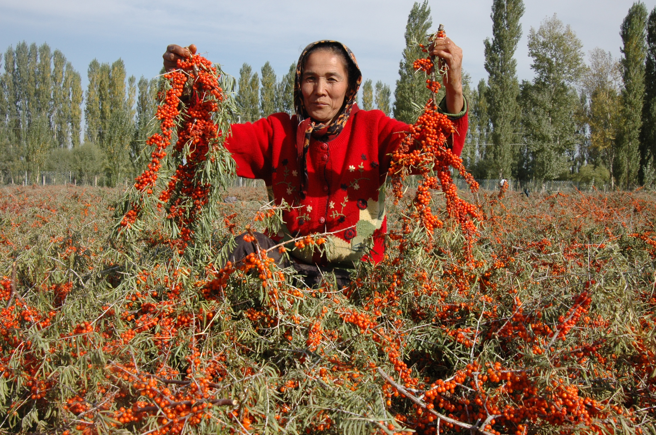乌什县旅游景点(新疆乌什县旅游景点) - 武陵观察网