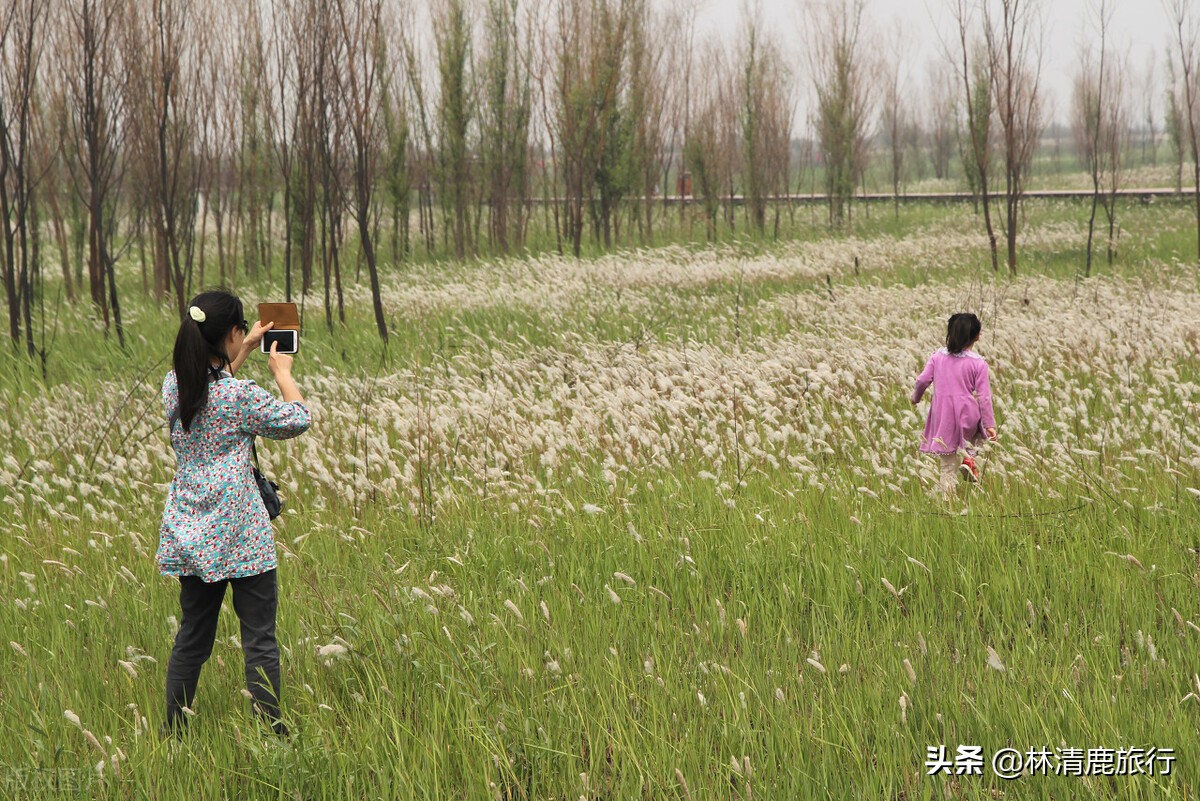 河南这8个免费景区，适合国庆全家游，热闹好玩且开车方便