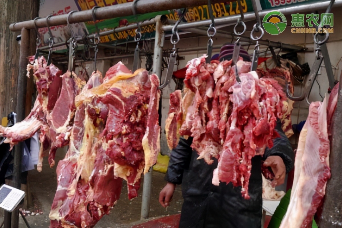 今日羊肉价格多少钱一斤？附：11月羊肉后期行情走势分析