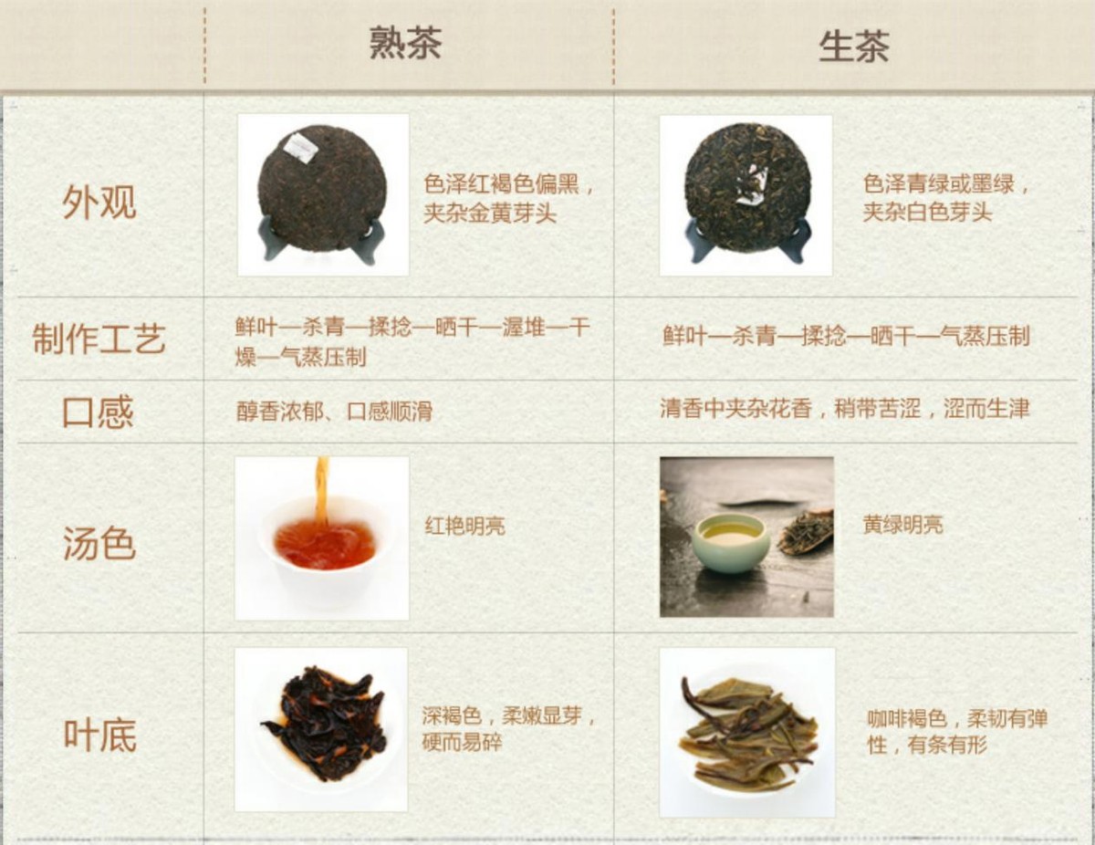 20毫克黄曲霉能致死，1克熟茶有上亿霉菌？普洱茶还能继续喝吗？