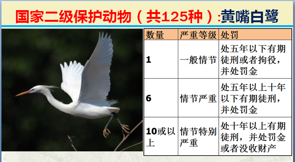 二级保护动物（国家最新125类二级野生保护名录）