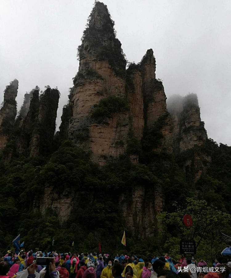 雨中神怡张家界，飞天索道奔险峰