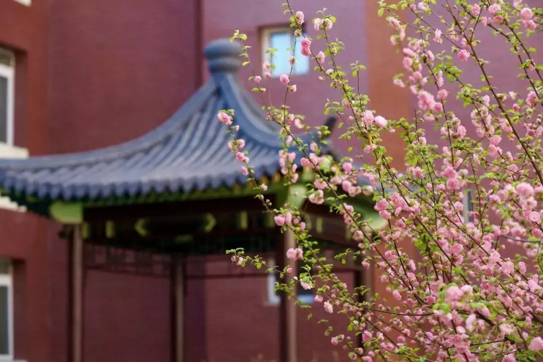 自动存放、还可消毒、烘干……北京市育英中学的《立体鞋库》，不愧是一等奖作品！